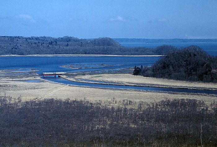 別寒辺牛湿原をゆく普通列車