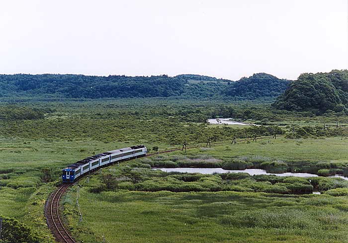 雄大な別寒辺牛湿原をゆく「まりも」編成