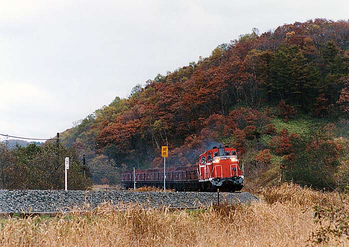 DE10重連による釧網本線の貨物列車。この日はトキのみの編成。