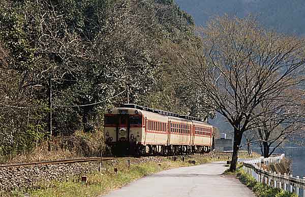 奈良電車区の下をゆく急行「かすが」