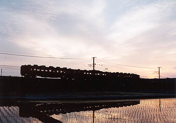 田植の始まる時期、急行型はシルエットも美しい